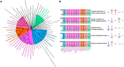 Exploring the role of Yuxuebi tablet in neuropathic pain with the method of similarity research of drug pharmacological effects based on unsupervised machine learning